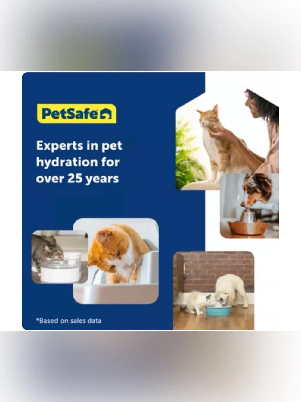 PetSafe® Viva Pet Water Fountain - 1.8L/64 oz - Filters Included